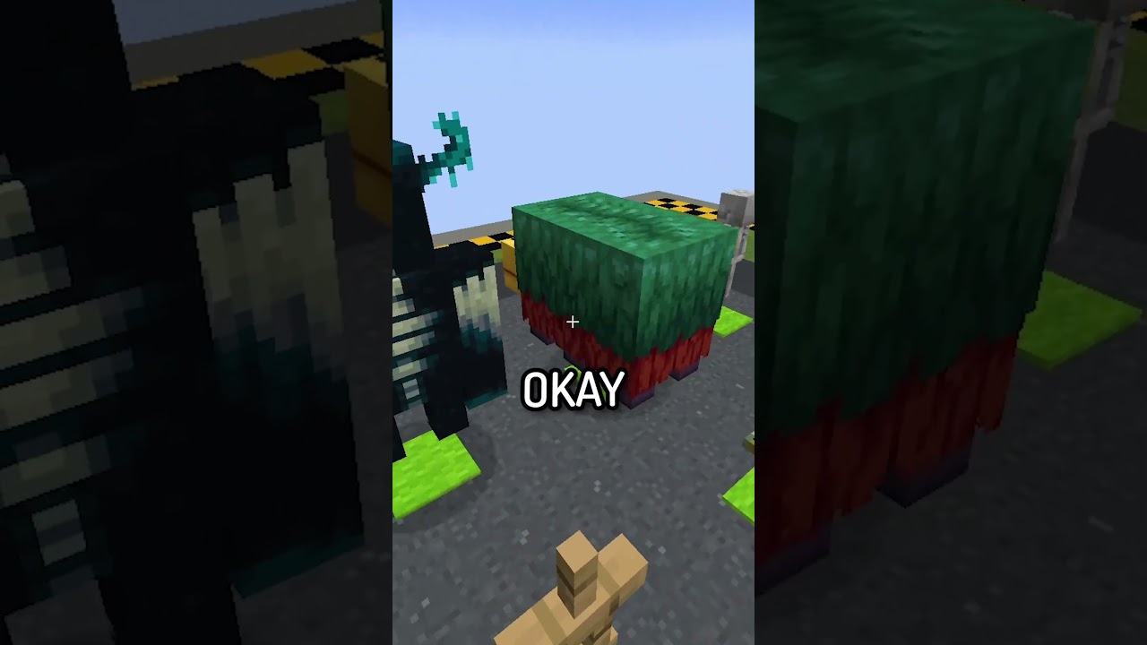 ta como zaneki #minecraft #shorts