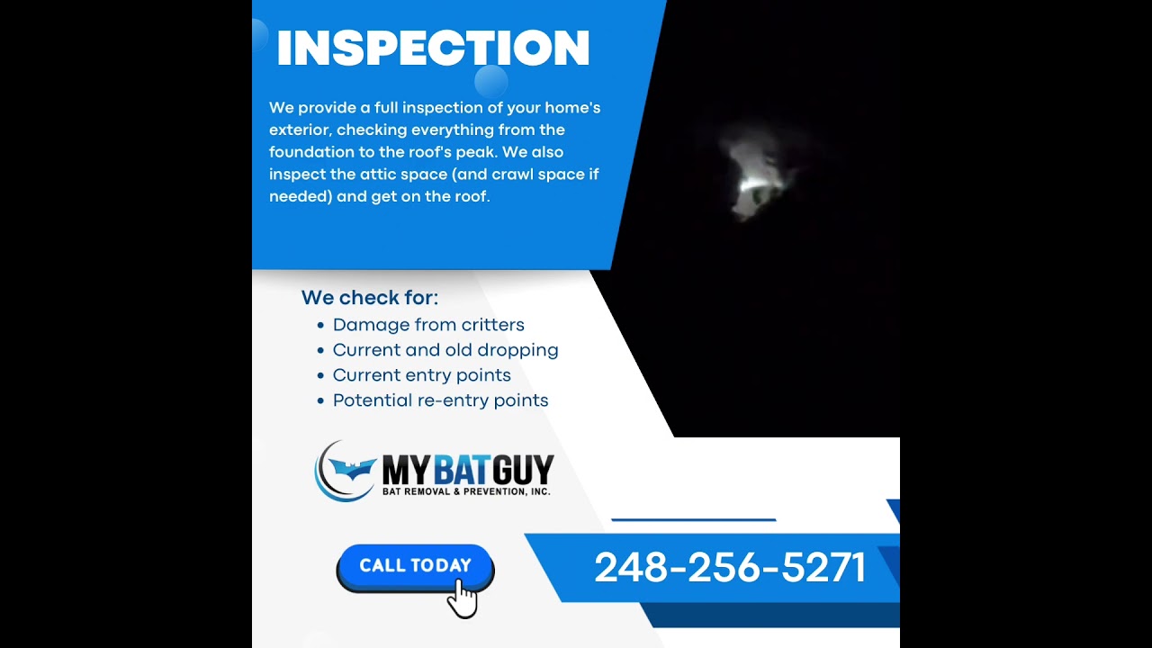 Inspection Service - MY BAT GUY  book today: 248-256-5271