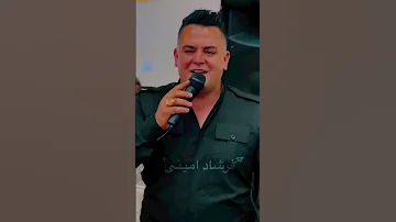 خوشترین هلپرکی کوردی فرشاد امینی 