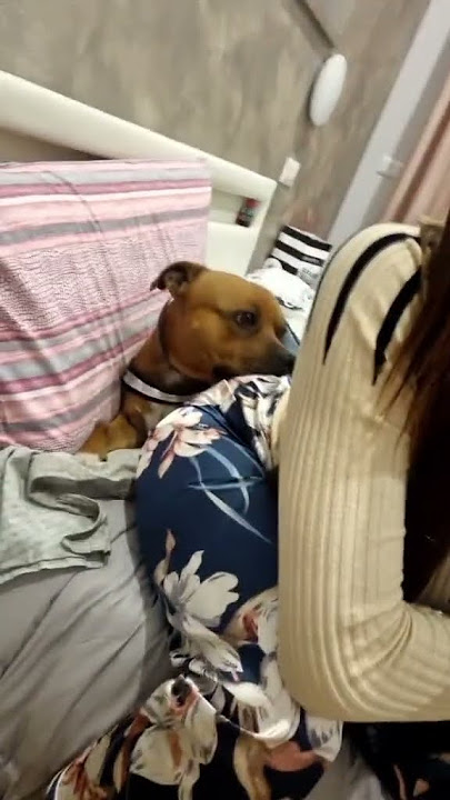 Girl Fart on Dog… He’s the Lucky One? 😂🐶💨