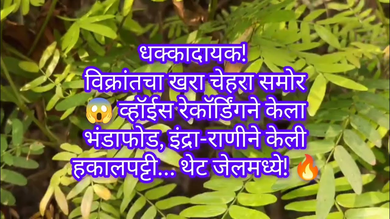 धक्कादायक! विक्रांतचा खरा चेहरा समोर 😱 व्हॉईस रेकॉर्डिंगने भंडाफोड, थेट जेलमध्ये! 🔥