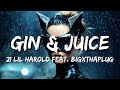 21 Lil Harold feat. BigXthaPlug - Gin & Juice (Lyrics)