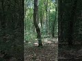 Мои мысли -мой мир