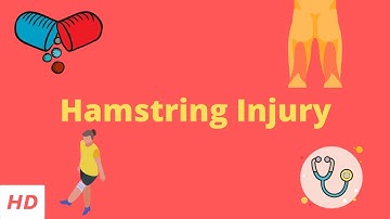 Hamstring injury, Causes, Signs and Symptoms, DIagnosis and Treatment.