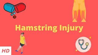 Hamstring injury, Causes, Signs and Symptoms, DIagnosis and Treatment.