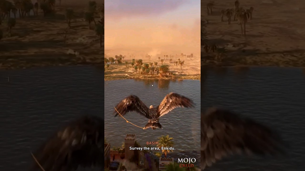 The joys of travelling Assassin's Creed Origins by eagle