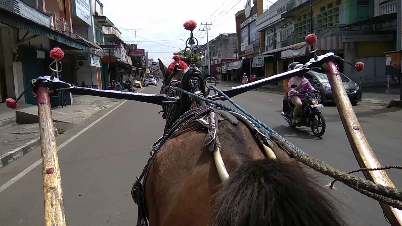 Serunya naik dokar atau bendi di pasar ibu Payakumbuh