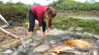 Fishing Videos: Fishing Technology, Use Large Cannon Pump Sucks Water, Catch Many Fish In Lake