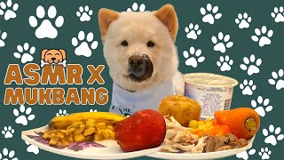 Our Dog's reaction to Mukbang and ASMR Challenge | Funny chow chow dog video #asmr #mukbang