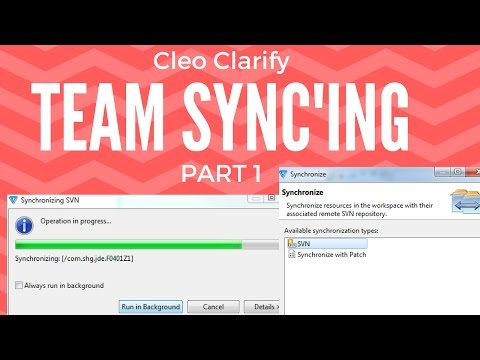 Cleo Clarify: Team Synchronization Part 1