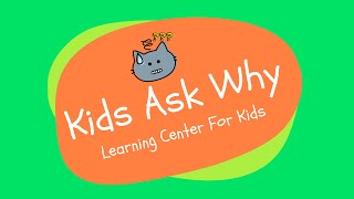 What Makes Shadows? | Can You Runaway From Your Shadow? | Kids Ask Why