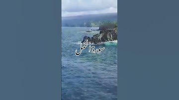 #اعتزل العالم واستمع #سورة النمل #القارئ الشيخ إسلام صبحي #Surat An-Naml