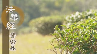 【靜思妙蓮華】法華經譬喻品 - 心靜能照濁世火 - 20210205 第671集