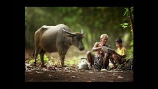 Relaxing Music: Kecapi Suling Sunda (Indonesian Etnic Music) for Strees Relief, Sleep, Meditation
