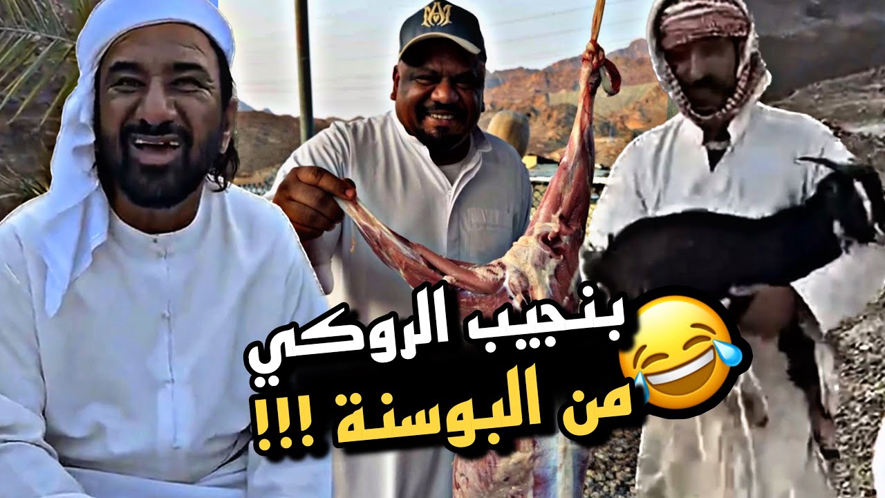 بنجيب الروكي من البوسنة 😂😂😂