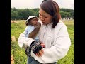 SMART Monkey Helps Mom Cut Grass Raise Cows