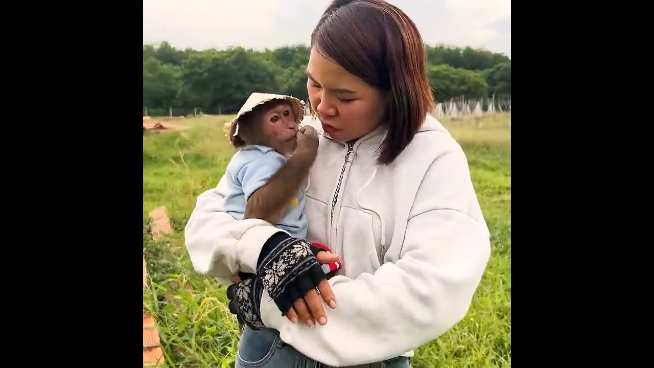 SMART Monkey Helps Mom Cut Grass Raise Cows