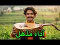 رائعة التراث اليمني ياليتني في جباكم عصفري أداء وإحساس استثنائي جديد mp3