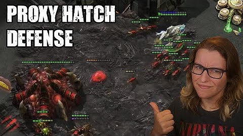 Defending An Odd Proxy Hatch - PvZ