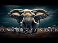 You Won'T Believe What Scientists Just Discovered Hiding In The Dna Of These Eleph... #Shorts #Viral