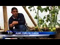 MAG TOMATE - ALLY TV NAPO