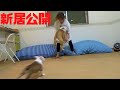 【新居公開】広い家に引っ越したら犬達が喜んでくれました！