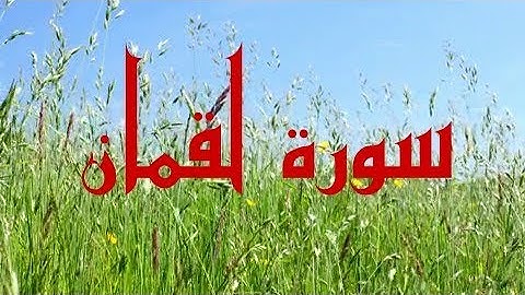 سورة لقمان بصوت القارئ محمد هشام حسن   Muhammad Hisham