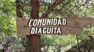 COMUNIDAD DIAGUITA - SALTA - CAFAYATE - CORDOBÉS POR EL MUNDO