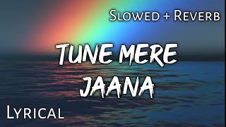 Tune Mere Jaana - | Slowed   Reverb | Lyrics | Use Headphones  🎧🎧