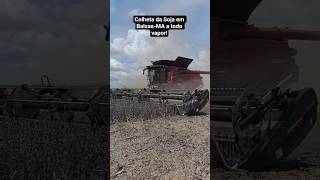 Colheita recorde da soja em Balsas-MA #balsas #agro #soja #colheita #caseih #farm #soy