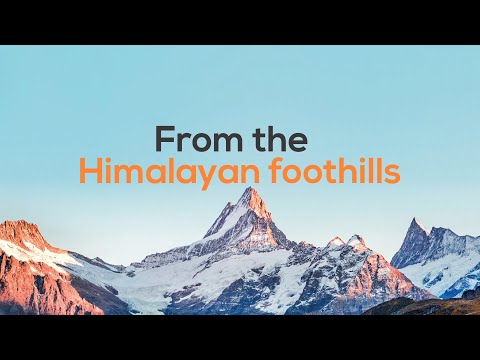 Presenting HEGE - video from Natural Hege