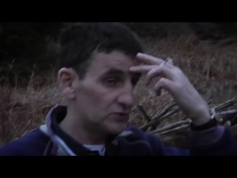 16 Years Till Summer trailer: GFF16