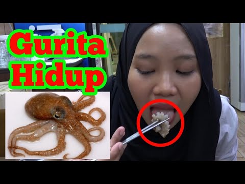 Teman Indonesia Pertama Kali Makan Gurita Hidup