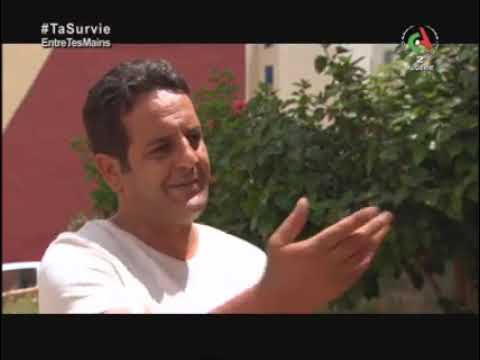 سعد القط موسم 2 الحلقة 13 Sa3d El Gat 2 épisode 13 