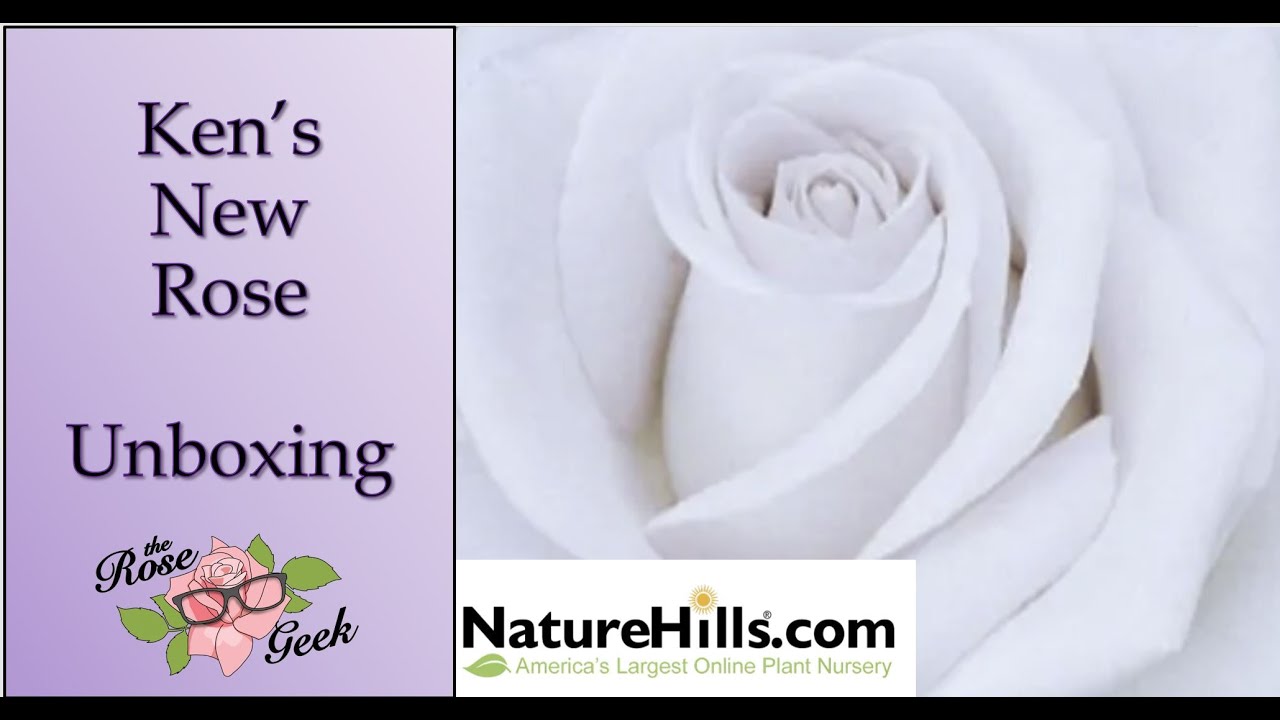 🌹 Ken’s Stainless Steel Rose (Carruth) | Nature Hills Unboxing - YouTube