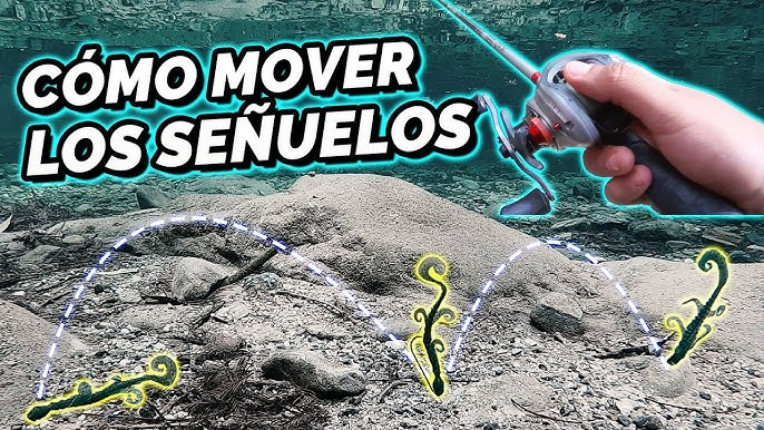 Aprende a MOVER los Señuelos para Pescar (Agua Dulce) 