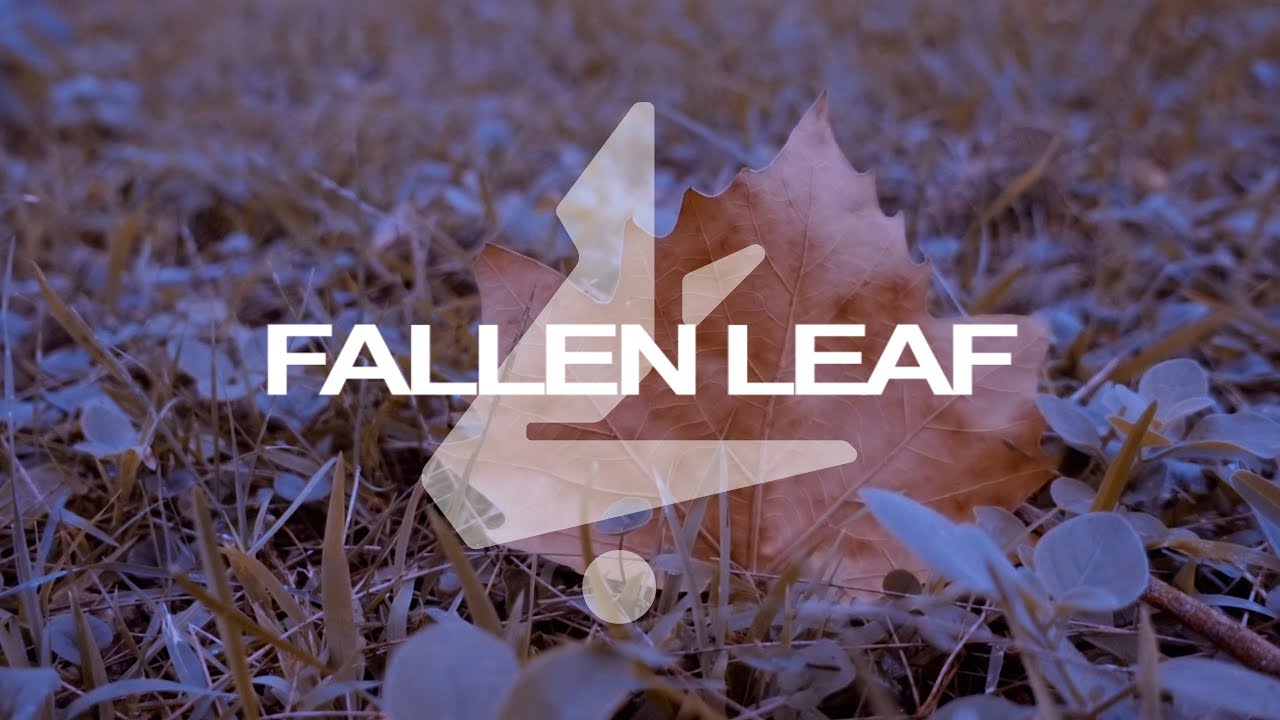 Lofyne   Fallen Leaf official music video with 250fps slow motion clips from RX100 IV