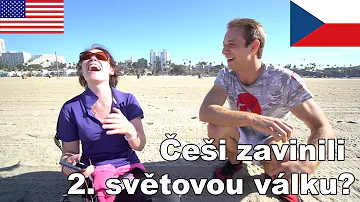 Kdo je členem výboru politické strany?