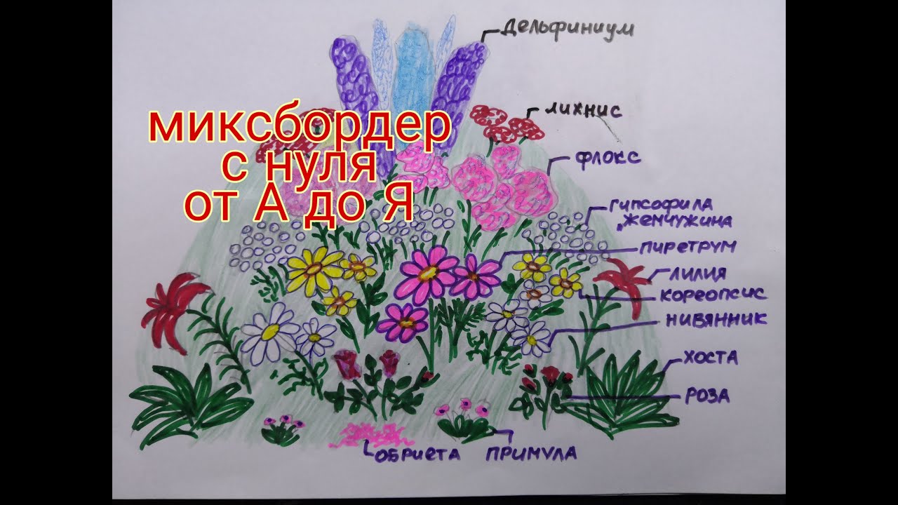 СОЗДАЁМ роскошный ЦВЕТНИК от А до Я, Дивный МИКСБОРДЕР С НУЛЯ, ПОДБОР ЦВЕТОВ, красивоцветущие
