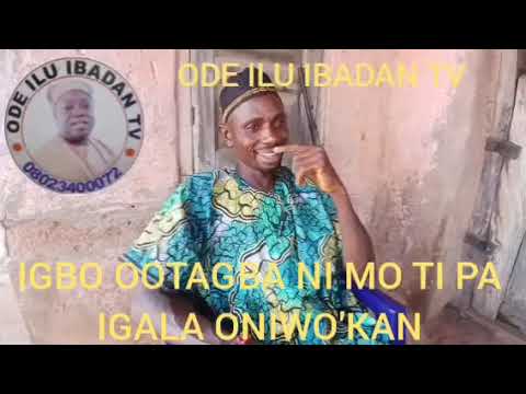 IGBO OOTAGBA NI MO TI PA IGALA ONIWO'KAN,MO SI BA ADO NINU IGALA NAA.