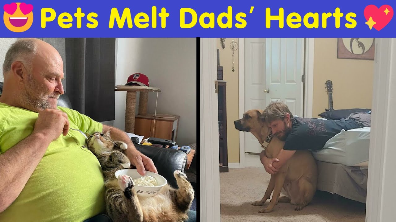 Touching Photos That Prove Pets Can Turn Any Dad Into an Animal Lover 💖| Happy And Fun