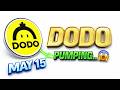 Dodo Crypto Pumping? Dodo Crypto Price Prediction | Dodo crypto ( May 15 )