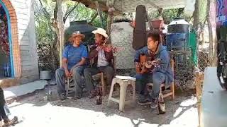 corrido de Simón blanco