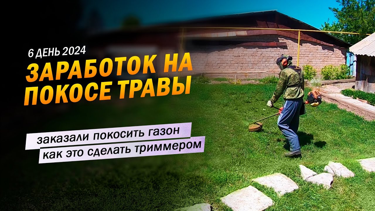 6 | Заказали покосить газон. И как это сделать триммером? Заработок на ...