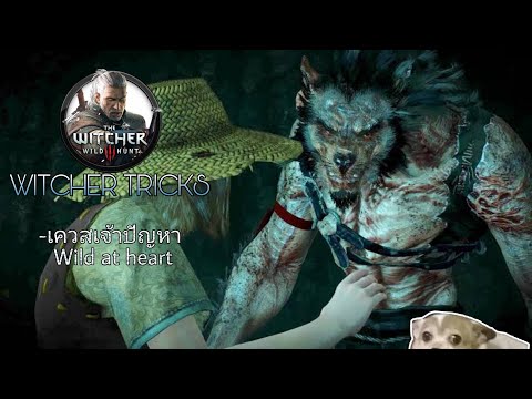 วีดีโอ: The Witcher 3: จะทำภารกิจให้สำเร็จในชุดหมาป่าได้อย่างไร?