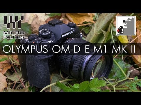 OLYMPUS OM-D E-M1 MK II  |  Мнение Топтыгина