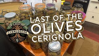 Cerignola Olive bottling