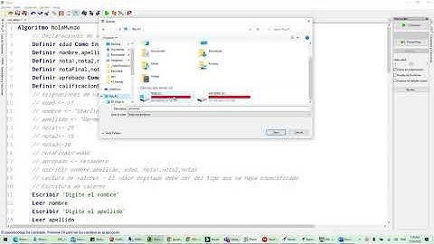 Guardar y Abrir Proyectos en Pseint