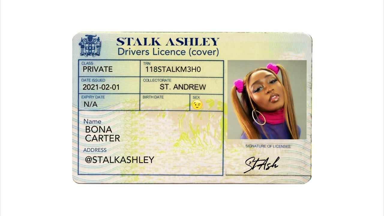 Stalk Ashley drivers license remix YouTube