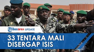 Kelompok Teroris ISIS Sergap Tentara Mali, 33 Personel Tewas